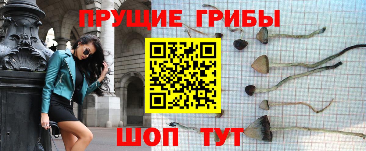 Галлюциногенные грибы ЛСД  Псилоцибиновые грибы мухоморы  Вход с VPN  Петрозаводск 