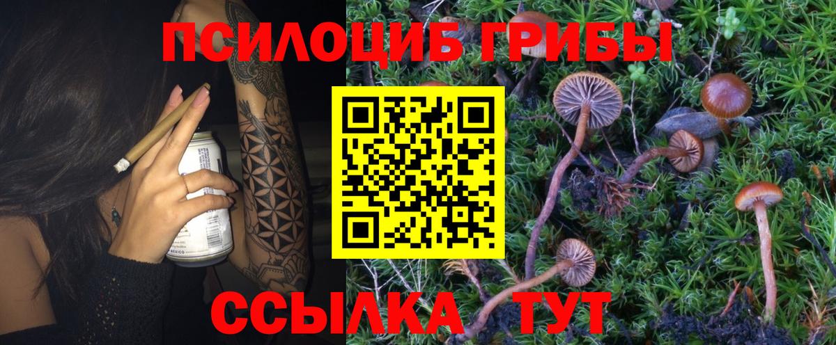Галлюциногенные грибы Magic Shrooms Петрозаводск